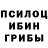 Галлюциногенные грибы Psilocybine cubensis tag an