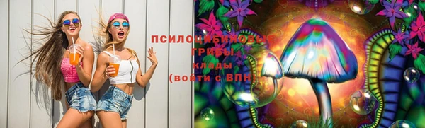 дживик Вяземский