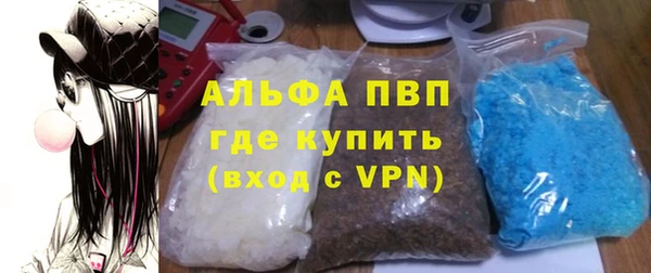 шишки Горняк