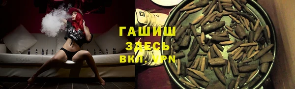 шишки Горняк