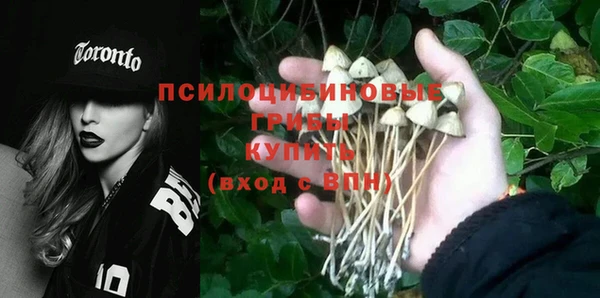 дживик Вяземский